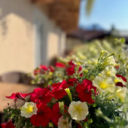 Appart hôtel Residenz Theresa Söll